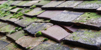 Prenton roof repair costs